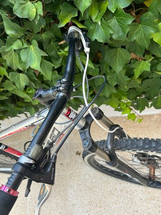 Bicicleta R29 8x3 Velocidades