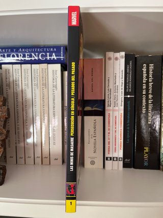 Las Minis de Masacre 01: Persecución en círculo...
