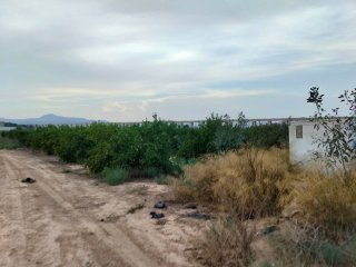 Finca de Limoneros. La Matanza Santomera. (6993m)