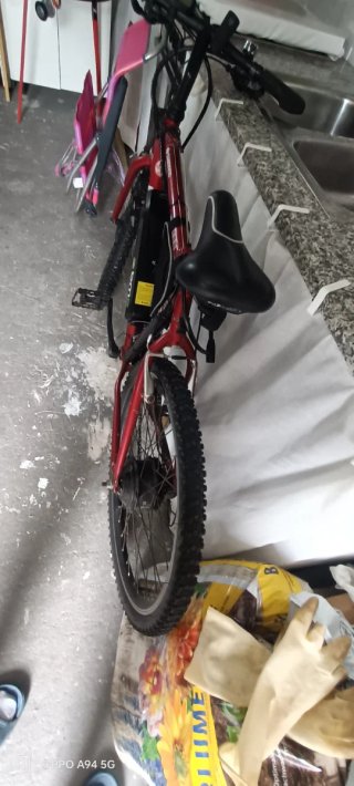 Bicicleta BH Topline Eléctrica Adaptada