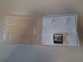 Viva Piñata: Pocket Paradise Nintendo DS