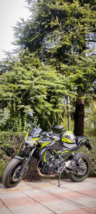 Kawasaki Z650 Negra y Verde 2020 LEER DESCRIPCIÓN