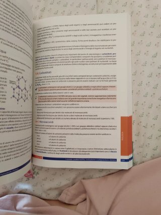 Alpha Test Medicina Semestre Filtro 2026/2027