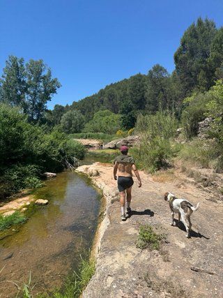 Paseo y cuidado de perros | Persona responsable