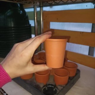 Mini Vaso Terracotta Diametro 6cm