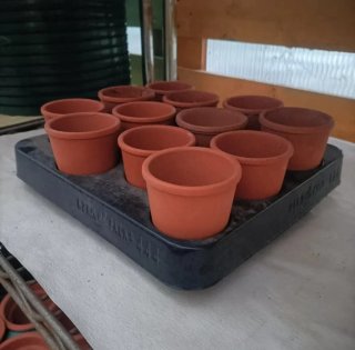 Mini Vaso Terracotta Diametro 6cm