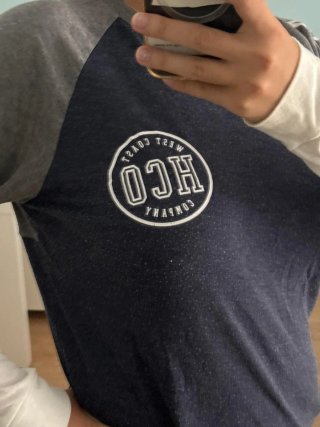 Camiseta Hollister manga larga