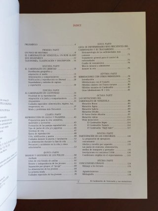 El cardenalito de Venezuela y sus mutaciones