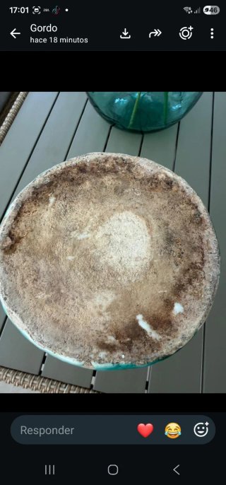 Jarra de Triana pintada a mano
