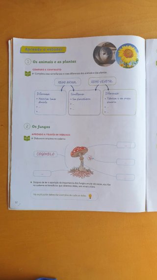 Ciencias da Natureza 5 Primaria. Santillana.