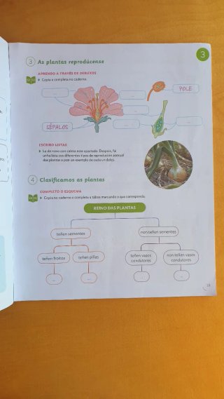 Ciencias da Natureza 5 Primaria. Santillana.