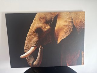 Cuadro elefante elegante grande