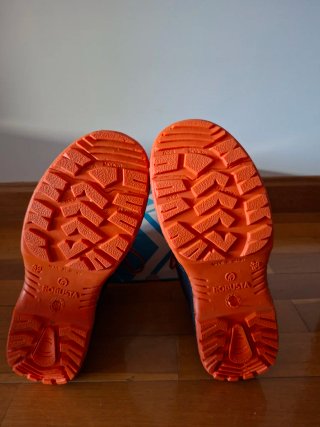 Botas de seguridad Robusta