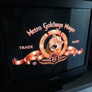 Televisor Sony Trinitron 21 Negro