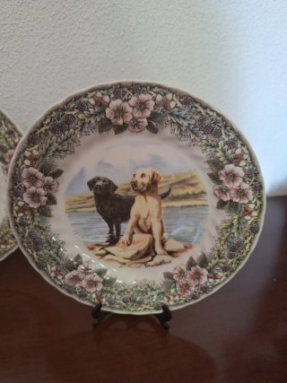 Conjunto 4 Platos Cerámica Churchill