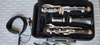 Clarinete Yamaha YCL255