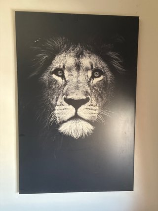 Cuadro de león en blanco y negro
