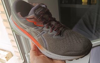 Asics Gel GT-1000 11 TR Nature Bathing/Olive (T45)