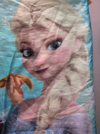 Saco dormir Frozen Anna Elsa