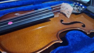 Violín 3/4