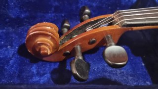 Violín 3/4