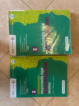 Nuova MATEMATICA allo specchio 2