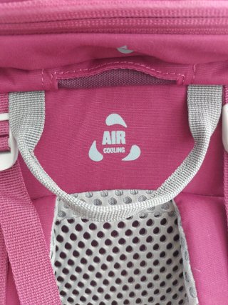 Mochila Quechua 20L Granate