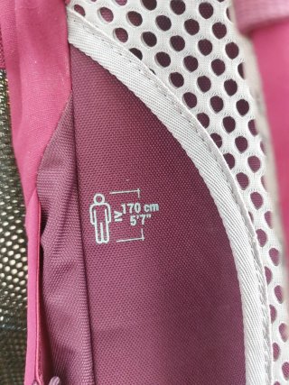 Mochila Quechua 20L Granate