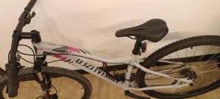 Bicicleta de montaña mujer Marca Specialized