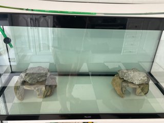Acuario grande de cristal - 200 litros