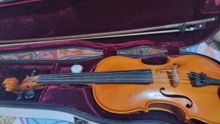 Violín 4/4 con estuche y arco