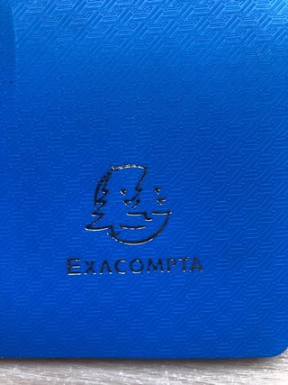 Carpeta azul con 30 fundas de plástico