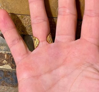 Anillo Antonella