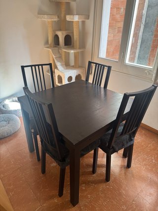Mesa de ikea extensible con 4 sillas