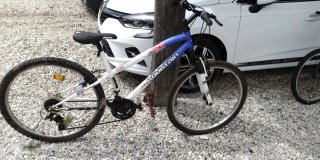 Bicicleta Montaña 26
