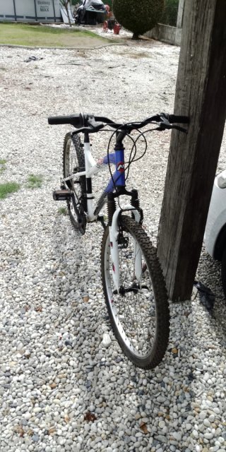 Bicicleta Montaña 26