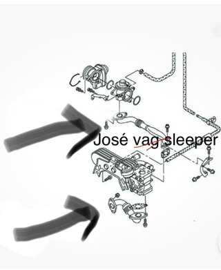 Anular EGR 1.9 TDI 2.0tdi 1.4tdi 2.5tdi consultar