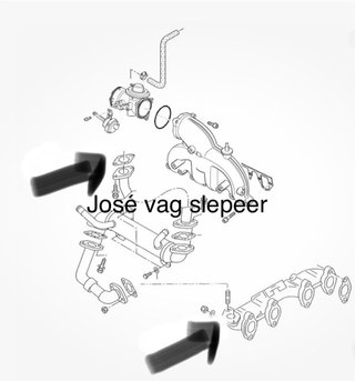 Anular EGR 1.9 TDI 2.0tdi 1.4tdi 2.5tdi consultar