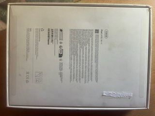 Apple iPad Plata