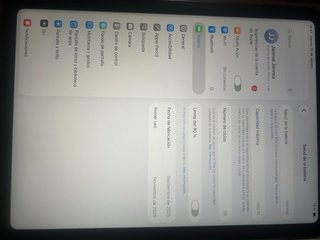 Apple iPad Plata