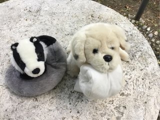 2 peluche Gosh design
