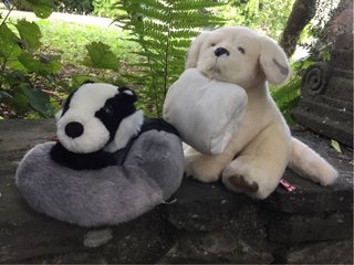 2 peluche Gosh design