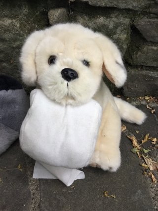 2 peluche Gosh design