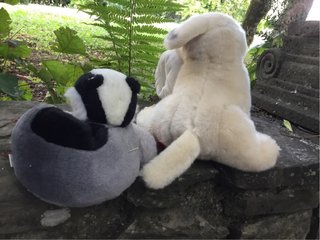 2 peluche Gosh design