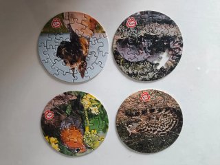 Puzzle Animales Quesitos MG 10cm