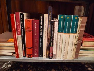 Oferta: 100 llibres. 2 euros cadascun