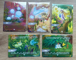 Set Secret Garden - Cartas de Juego