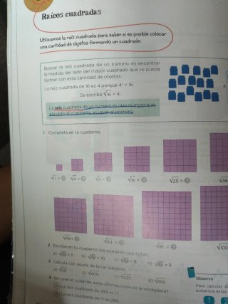 Libros matemáticas sexto de primaria