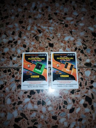 2 Cartas Panini Fútbol NM 13 Mikautadze