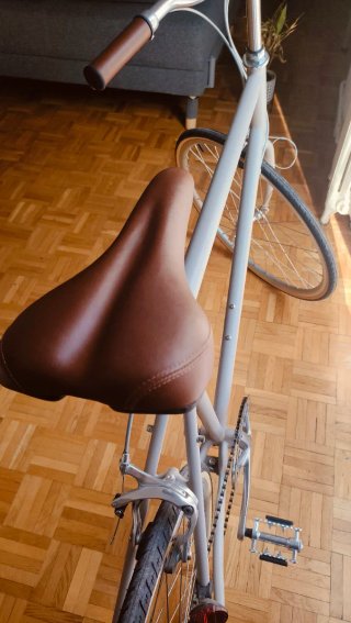 Bicicleta Tokyo Bikes Talla L